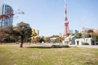 【2面取れてます！誰でも気軽に！】東京タワーの下で楽しくテニス🎾