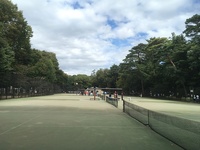 【2面取れてます！誰でも気軽に！】井の頭公園で楽しくテニス🎾
