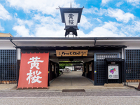 新春企画!伏見の酒蔵巡り＆利き酒に行ってみよう🍶✨