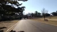 浜寺公園ウォーキング～🚶‍♀️🚶🌳
