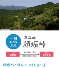 【初心者向け】正月太り女子で奥武蔵をハイキングウォーキングしよ？？【富士山PG④】