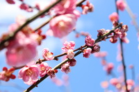 【開催決定☆女性限定】2/11(祝金)ゆるピクニック☀️ 【9回目】