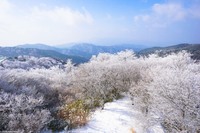 【2月11日(祝)】まるで銀世界♪樹氷を眺めにＧＯ！ＴＯ！雪山金剛山(満席)