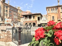 バレンタイン企画！ディズニー好き集まれ！！ディズニー仲間を作ろう♡Disney飲み会♡