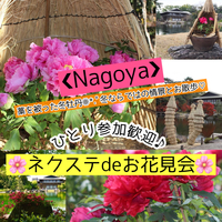 1/22 (土曜)【名古屋～東区・徳川園】毎月開催の1月は冬牡丹祭りを満喫♪【ネクステdeお花見会】