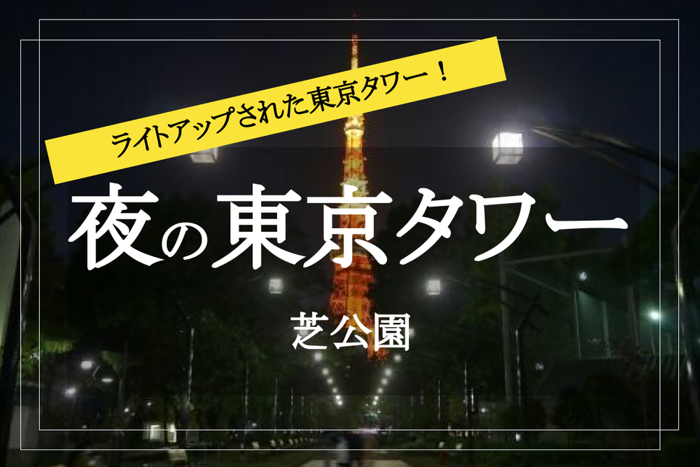 【新橋～東京タワー】夜景を楽しみながら歩こう～！