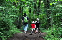 【子供でも登れる山】
姪浜からバスで叶岳に一緒に登ろう！