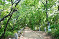 【3月20日(日)】歴史百選を歩こう！天野街道～金剛寺(30名募集/残席2名)