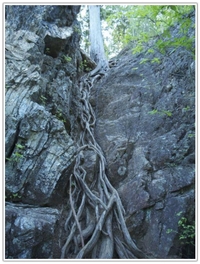 【健脚向け】お前様、御前山に登らんか？【富士山PG⑥】