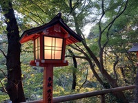 ⭐️タイムセール⭐️【20代前半主催】休日に自然満喫リフレッシュ！
多摩川→等々力渓谷・不動尊
