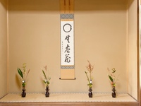 【主に20代30代限定】お花好き男女集まれ！〜いけばなの集い〜【★花活サンデーオンライン】