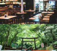 雑司が谷方面の神社鬼子母神パワースポットと南池袋エリアのおしゃれなカフェで休憩も考えています。