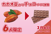 【6人限定】大人気企画！カカオ豆から板チョコづくり体験♪