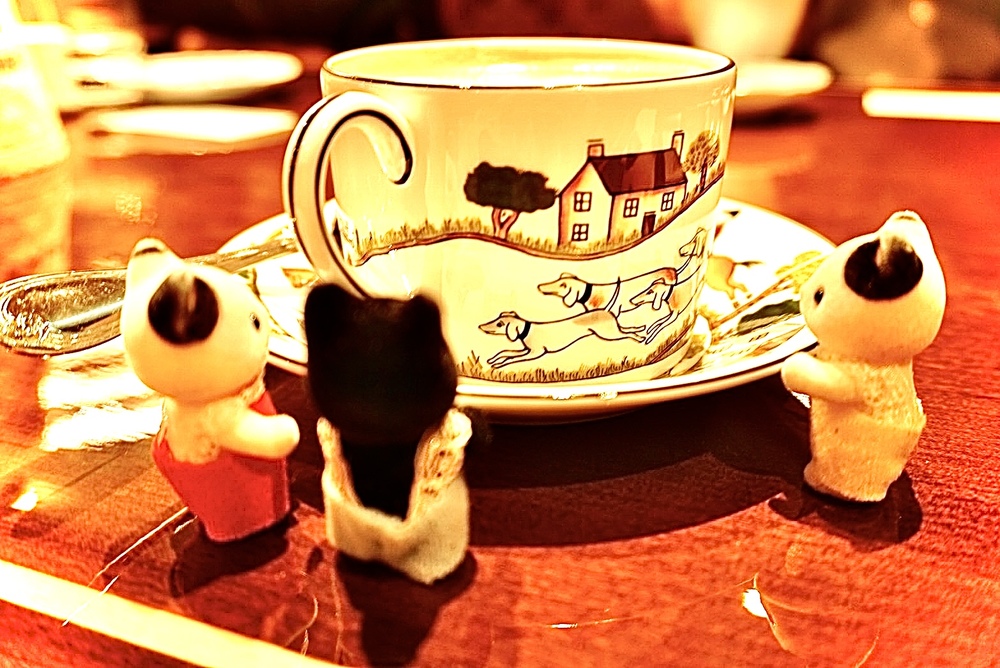 【早割500円】渋谷カフェ（珈琲茶館 集)で友人作り♪