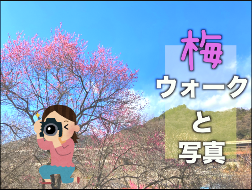 【3/12】高尾山の近辺の梅フォト＆ウォーク！春なので梅を満喫しよう!