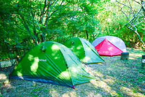 Vol.17: もーすぐ春ですね🌸女子キャンプ再開します🏕