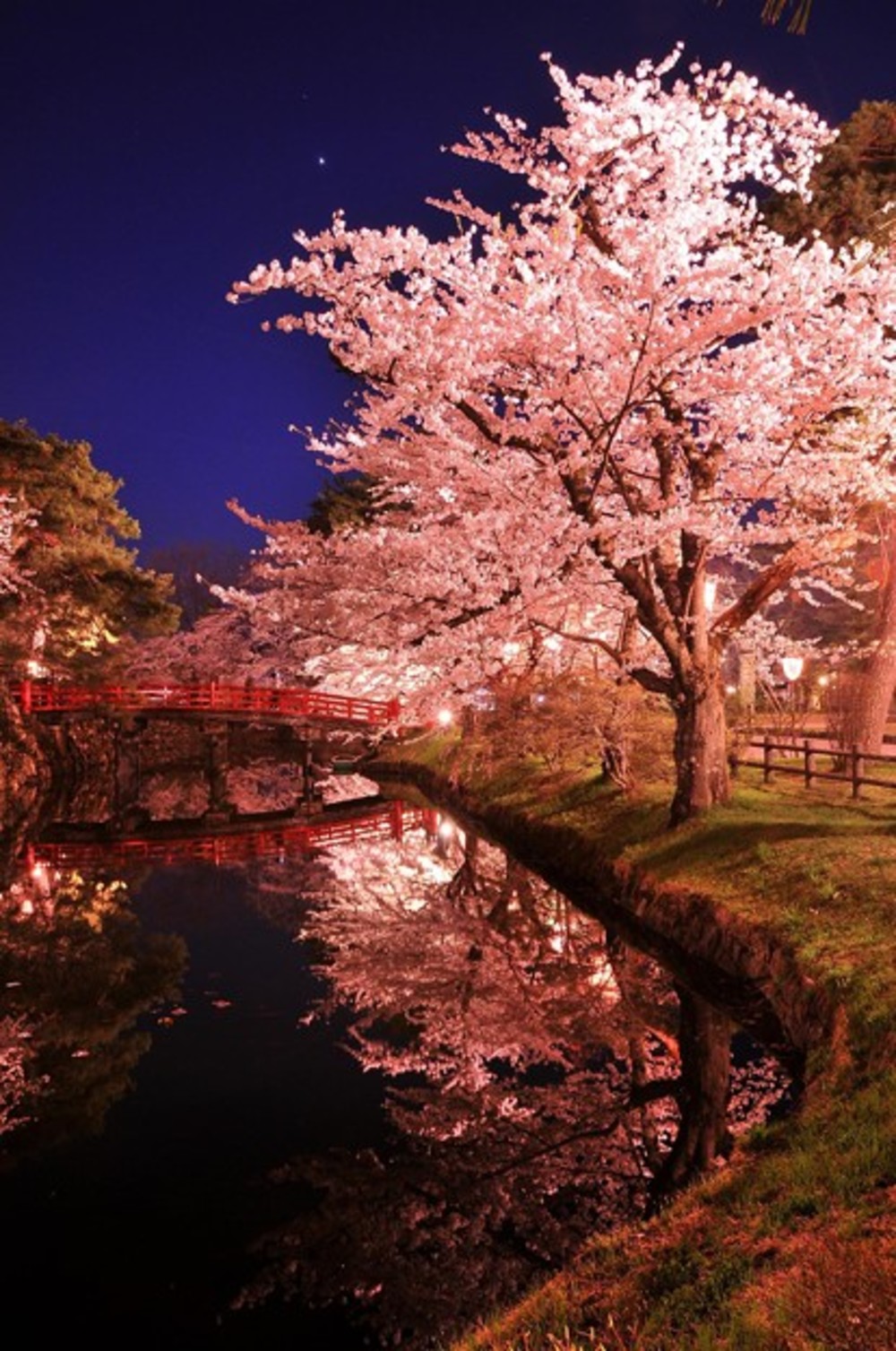 
キャンドル🕯ナイト！ホテル庭園で夜桜🌸を楽しもう♪