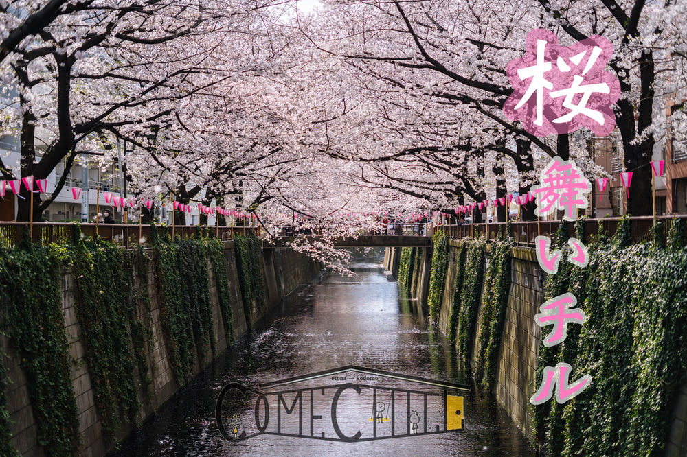 早割アリ【花見×ピクニック】in 公園😆第116回