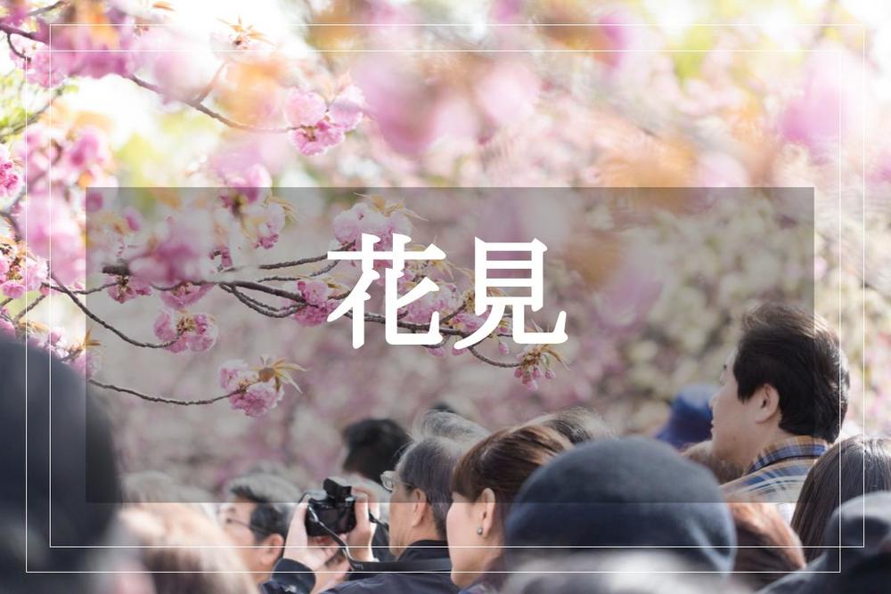 【みなとみらい×桜】きれいな桜を見ながらみなとみらいを歩こう！