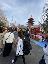 【早稲田でボドゲ有り】🌸お花見&食べ物交流会🌸【スペース貸切】