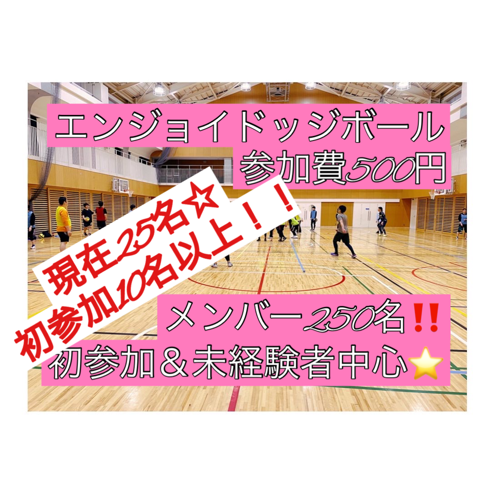 🏐現在25名(初参加12名)🏐ドッジボール⭐️初参加＆未経験者中心⭐️遅刻OK！ 【友達作り＆運動不足解消しよう！】