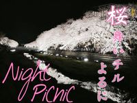 早割アリ【夜桜×ピクニック】in 代々木公園😆第118回