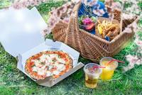 鴨pic🌸桜の京都北山でお花見ピクニック✨