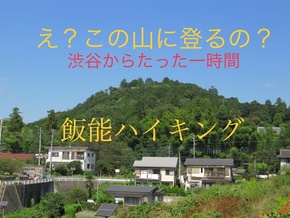 【緊急募集】天覧山～多峯主山ハイキング＠飯能　最高２７１m