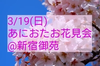 3/19 あにおたお花見会@新宿御苑