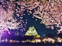 みんなで仲良くお酒飲みながら語り合いましょ🌸🍺