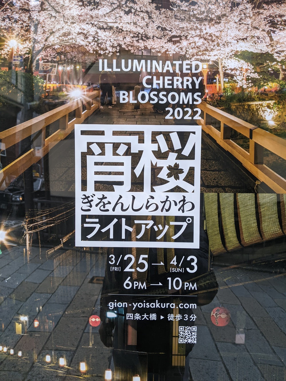 【夜桜さんぽ】祇園＆円山公園の桜ライトアップを見に行こう🌸