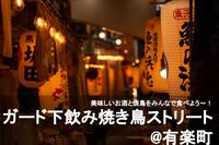 【ガード下焼き鳥ストリート＠有楽町】やすくてうまい！美味しいお酒と焼き鳥を食べよう〜！