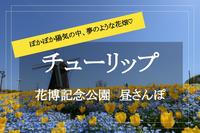 【花博記念公園で昼散歩】一面に広がるチューリップを見ながら歩こう！