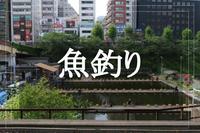 【初心者限定！弁慶フィッシングクラブへ行こう！】釣り堀で、魚釣りを楽しもう〜！