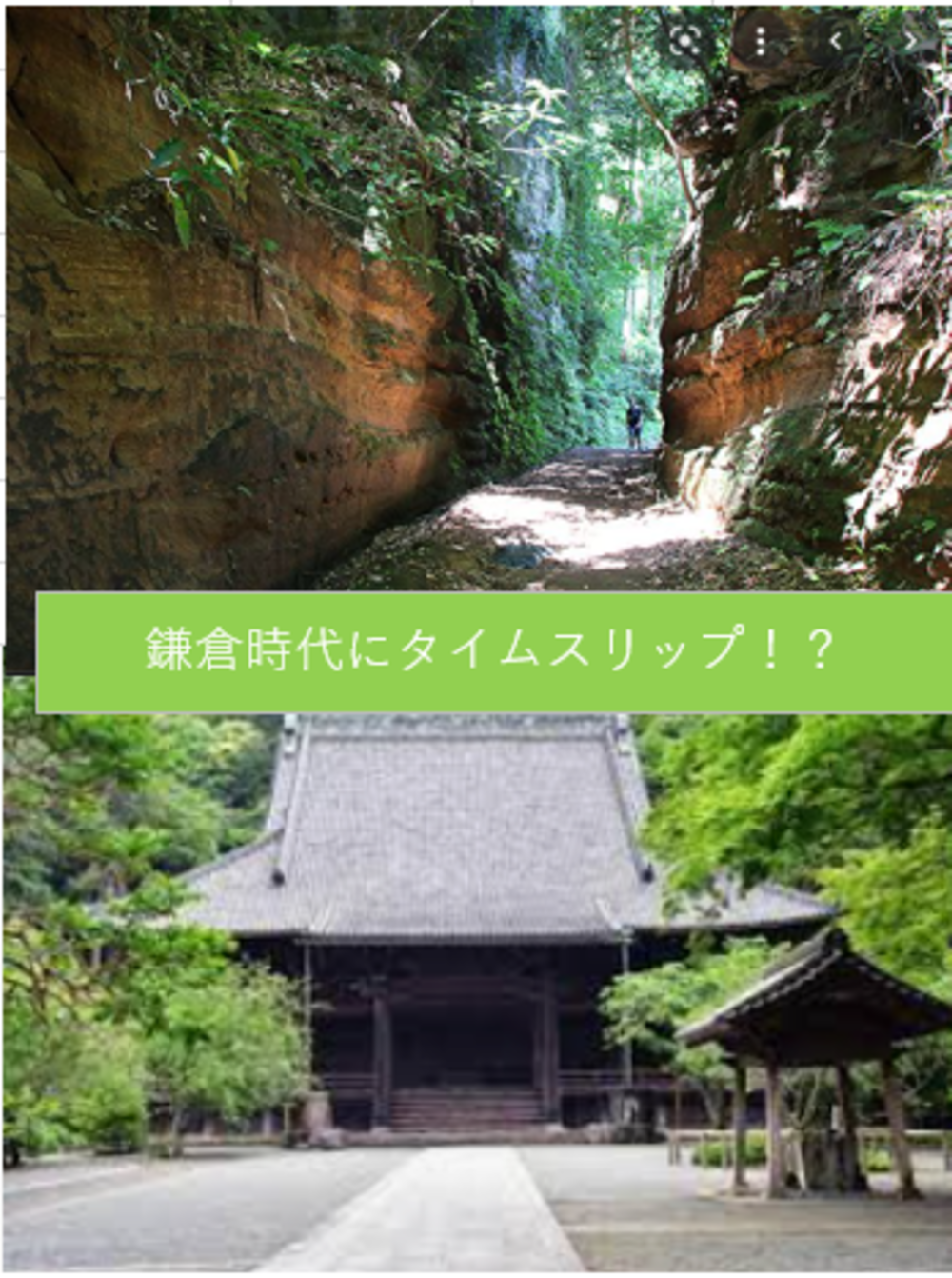 【切通と寺社めぐり】中世鎌倉時代を自然、寺社をめぐって、タイムスリップ体験しよう