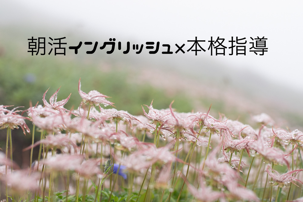 朝から本格英会話教室　英語学習コーチングが欲しい方、英語ディスカッションを体験してみたい方はこちら！