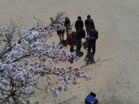 一緒に再度山でハイキングをしませんか？