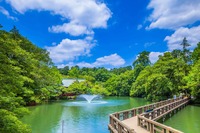 【自然にも触れたい】ゆるりと散歩しよう！in井の頭公園