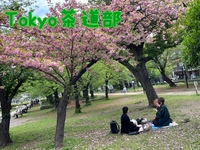 Tokyo茶道部(初めまして編)