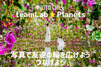 【写真✕アート】チームラボ豊洲へ行こう♪