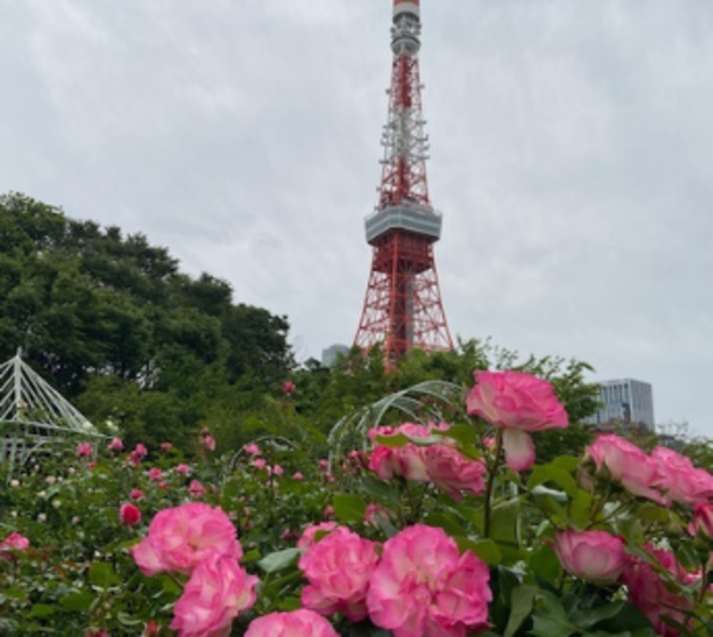 新橋駅スタート　薔薇の公園お散歩オフ会 女性人気の神社御朱印パワースポットも