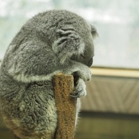 📷カメラ持ってお出かけ🌈ー神戸どうぶつ王国🦁