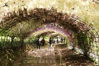 【⭐️募集⭐️】5/2(月)北九州カメラカフェ会