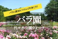 【バラ園✕代々木公園】広大な敷地に広がる美しいバラ！ 夢気分でウォーキングしよう〜♡
