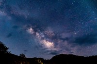 【旅撮-Tabidori-】東京拠点第三回企画 星空・季節の花々撮影