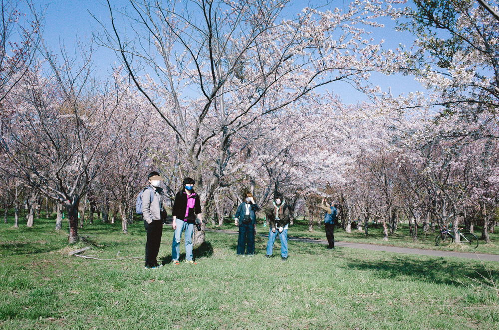 チャリ旅🚲豊平桜の杜にいこう🌸