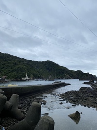 (南西の風強く海況悪い為中止)GW5月4日(水)〜5日(木) 伊豆スキンダイビング