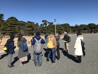 【都内でバードウォッチング】休日に明治神宮を散歩しながら鳥を観察しよう！