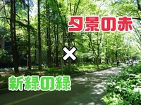 　【靱公園でフォトウォーク】夕景も撮れるかも♪