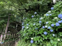 【20代前半にオススメ♪】飛鳥山公園で登山!?と「おばあちゃんの原宿」巣鴨を散策しましょう!!